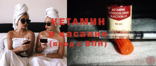 прущие грибы Каменногорск