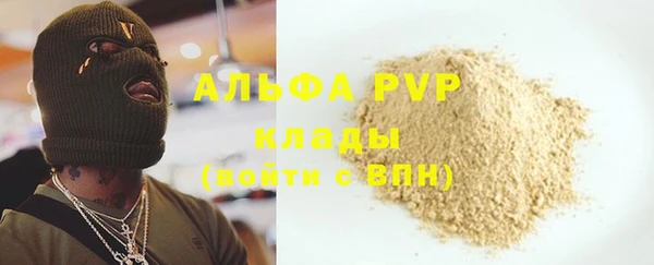прущие грибы Каменногорск