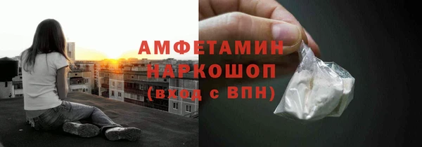 прущие грибы Каменногорск