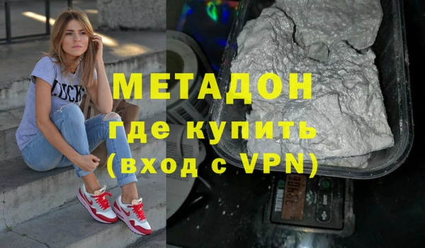 прущие грибы Каменногорск