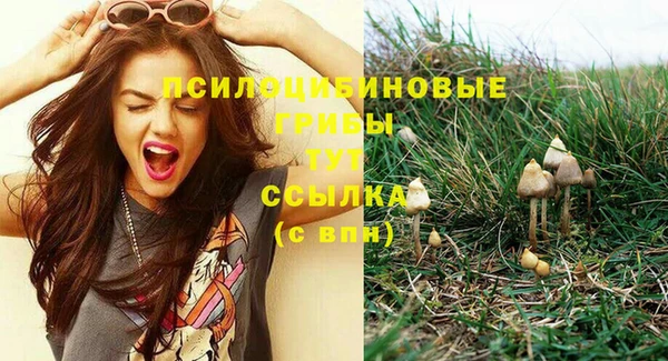 прущий лед Переславль-Залесский