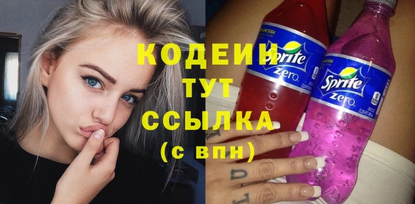 прущие грибы Каменногорск