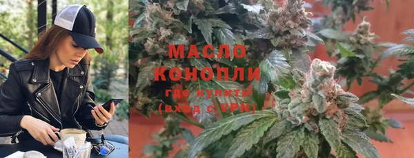 прущие грибы Каменногорск