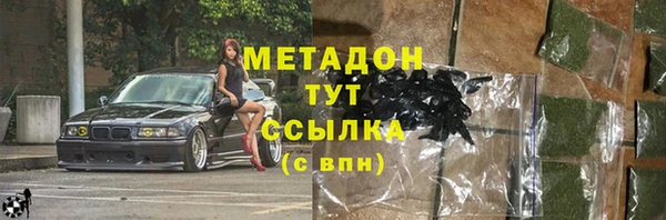 прущие грибы Каменногорск