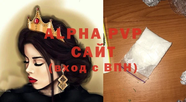 прущие грибы Каменногорск